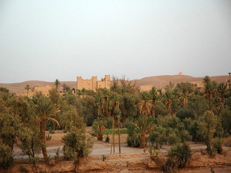 A la découverte de la palmeraie magique de Skoura!