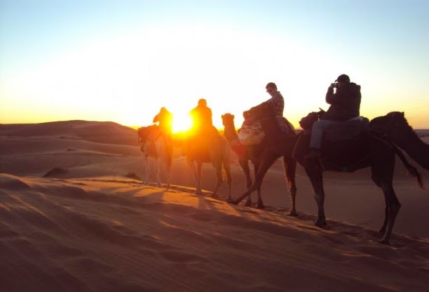 A la recherche de sensations fortes !