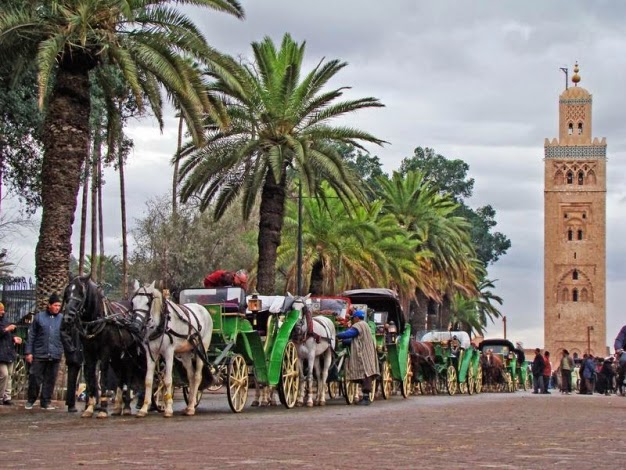 Balade de calèche à Marrakech