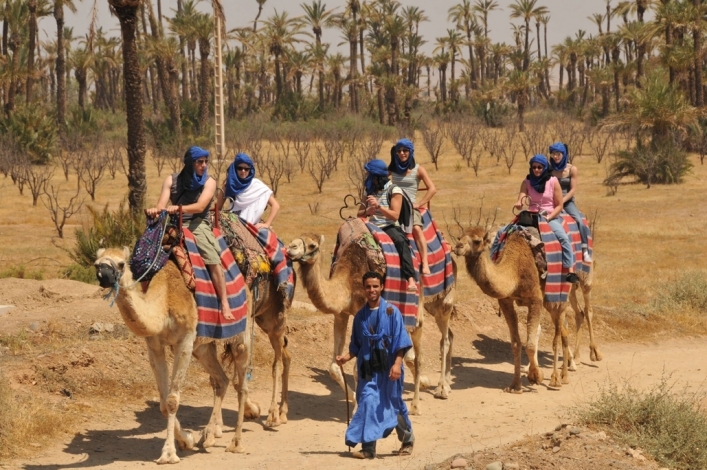Balade de chameaux à la palmeraie à Marrakech
