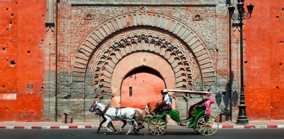 Belle Balade en calèche à Marrakech