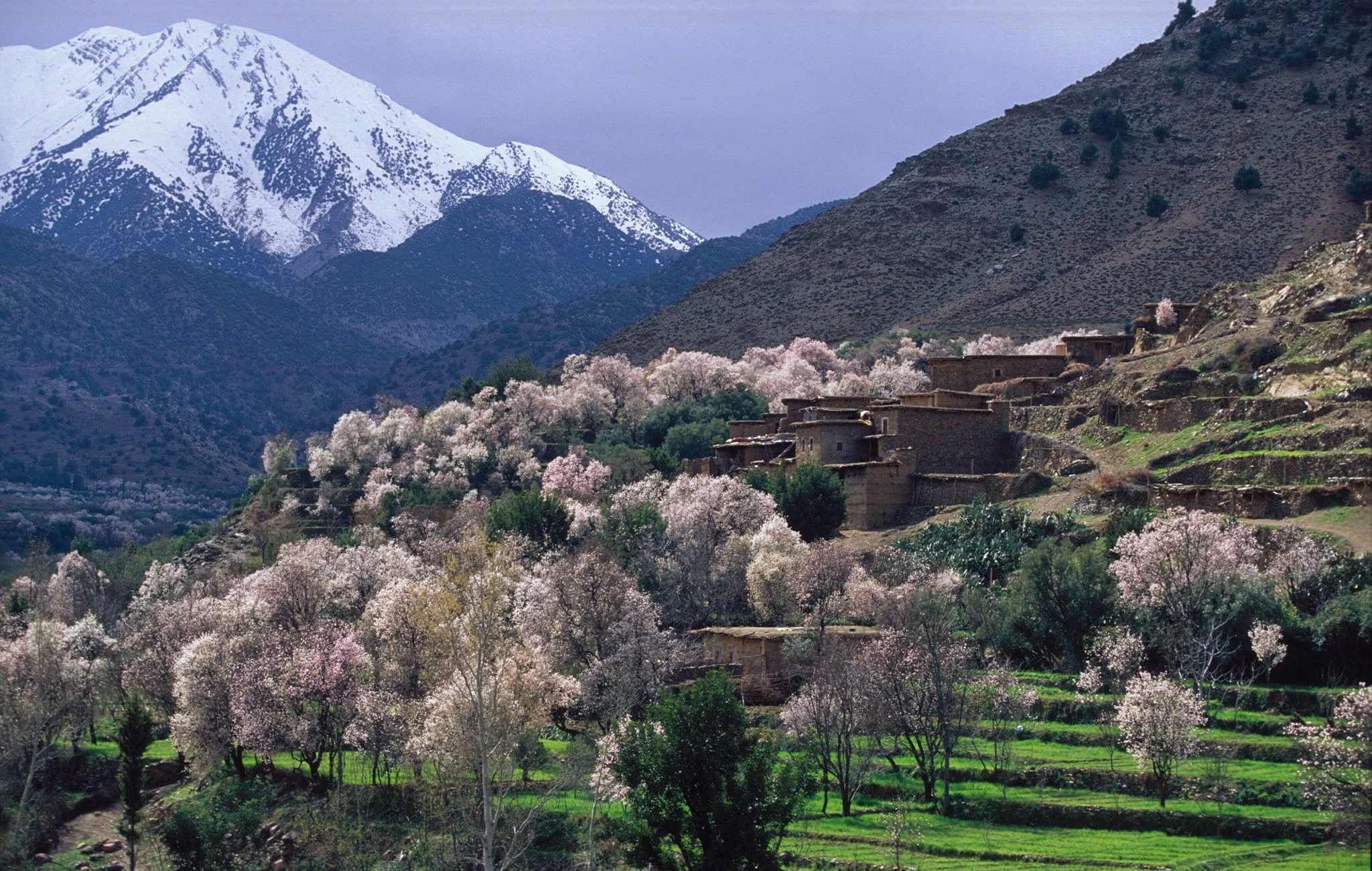 Besoin d'émerveillement à Marrakech?