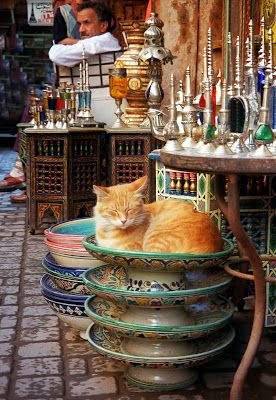 Bienvenue à Marrakech