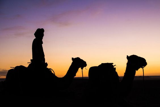 Clickexcursions, vous offre des circuits moins chers