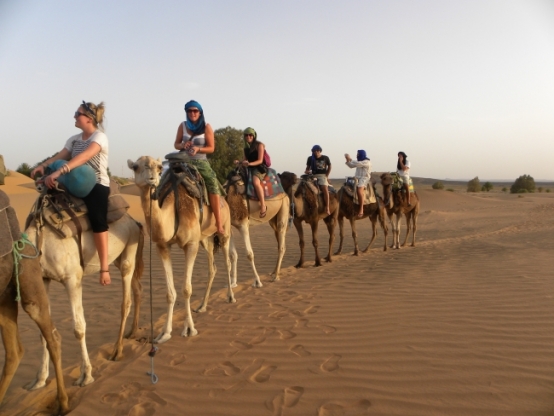 De la ville impériale Marrakech au désert de Zagora