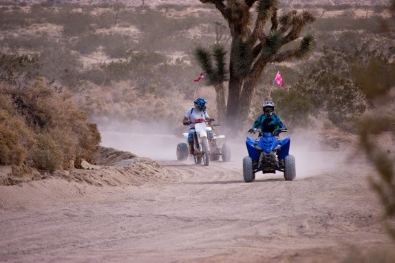 Découvrir la palmeraie en quad