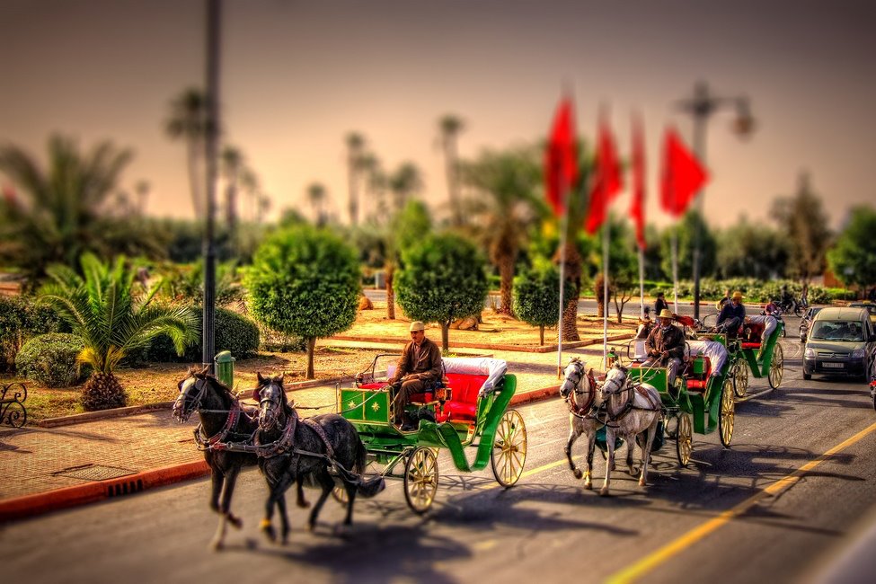 Des agréables balades pour vivre des bons moments lors d'un séjour!