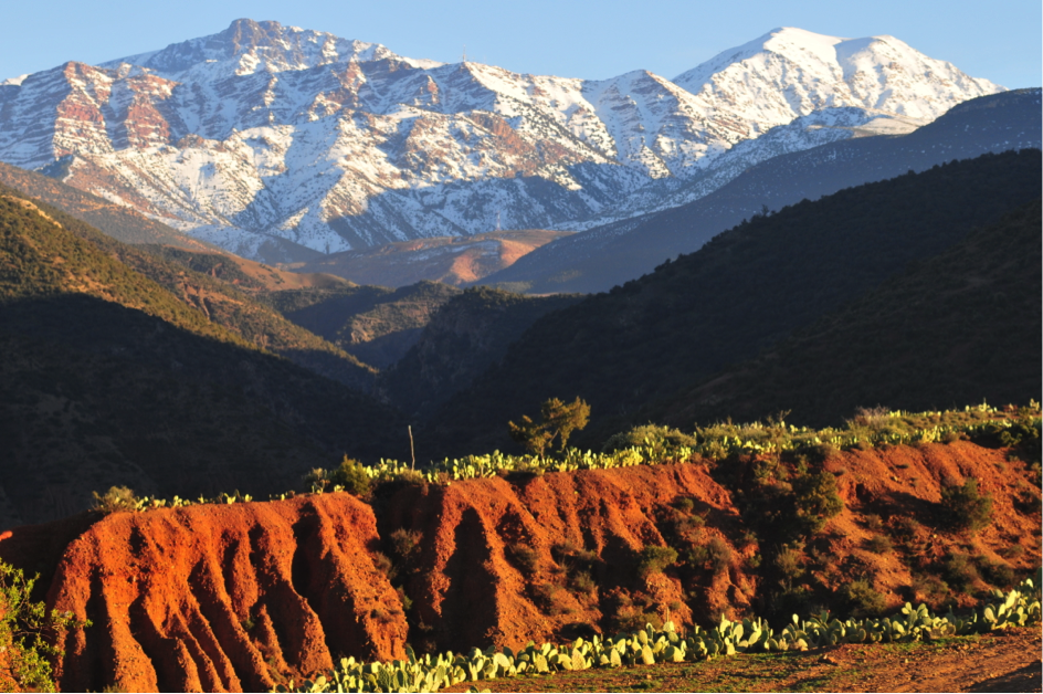 Des excursions et des circuits pas chers: