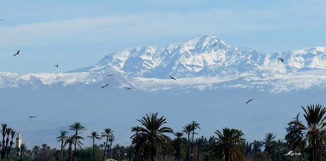Des excursions magiques où vous admirez des panoramas de 306°!