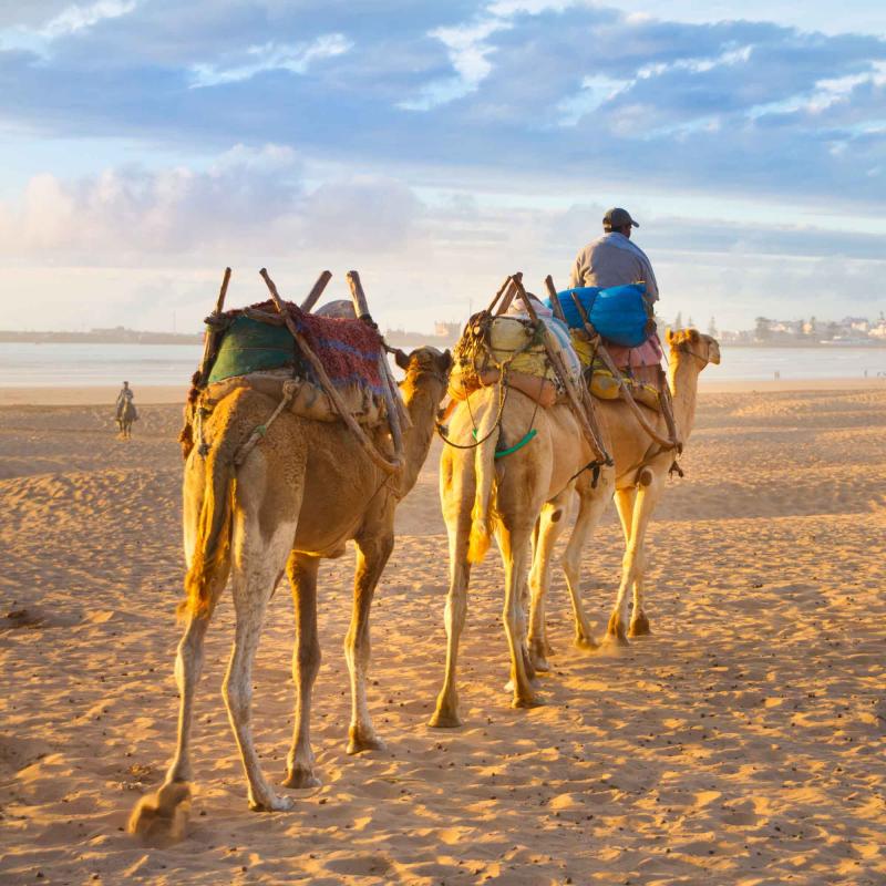 Des moments divers illustrés dans nos excursions