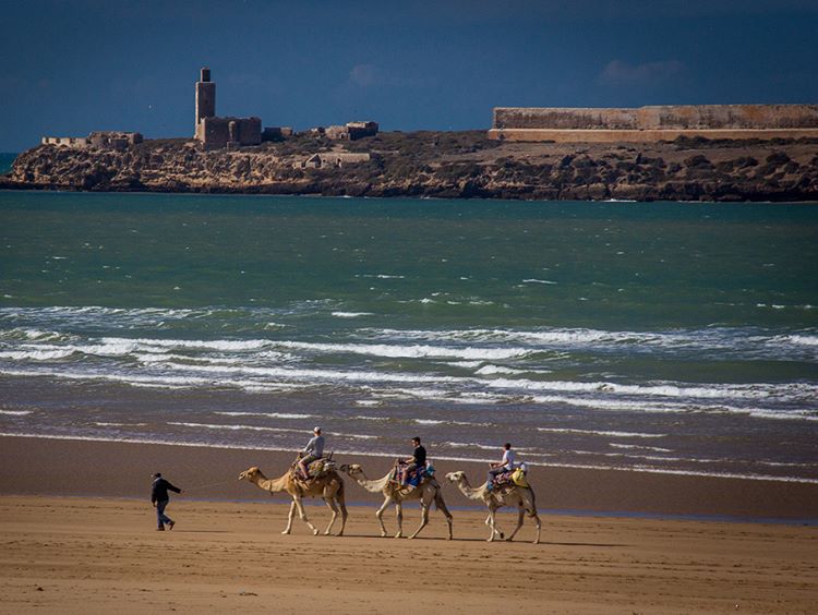 Des multiples voyages pour une vacance plus agréable!