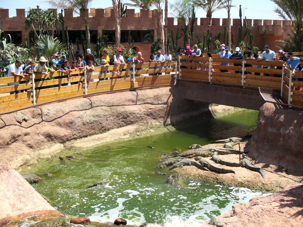 Excursion Crocoparc à Agadir