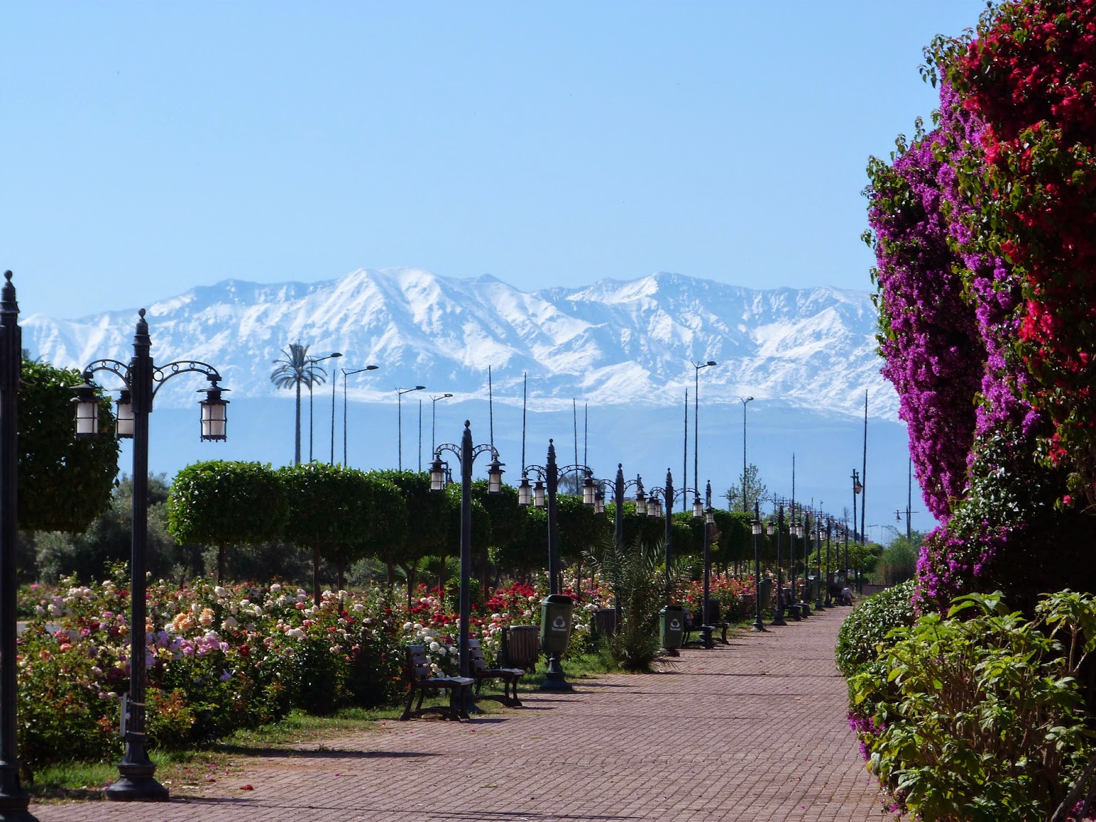 Excursion Marrakech: votre guide de voyage au Maroc