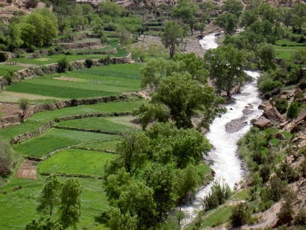 Excursion Plateau De kik