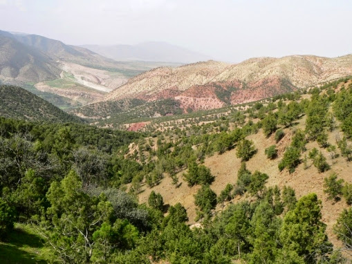 La spontanéité rayonnante d'une journée rafraîchissante!