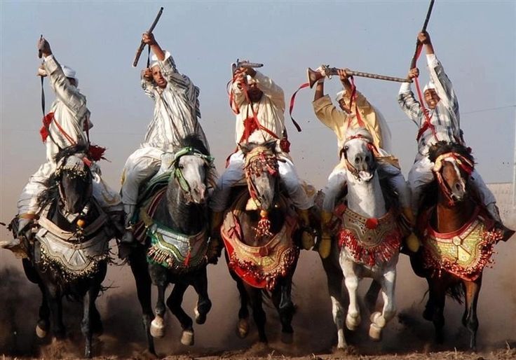 L'art équestre marocain : Tbourida