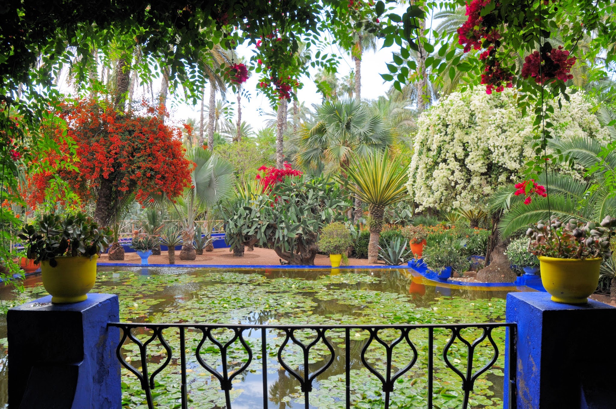 Les Jardins de Majorelle: un jardin botanique magique