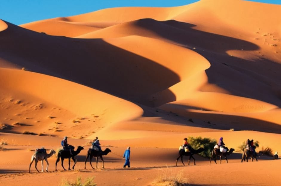 Naviguer comme un ivre au coeur des dunes de Merzouga