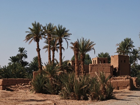 On vous fait découvrir le Sahara pendant le nouvel an!