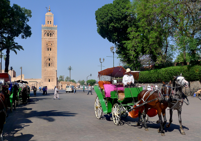 Organisez vos découvertes avec Excursions Marrakech