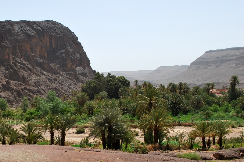 Osez découvrir le grand sud marocain!