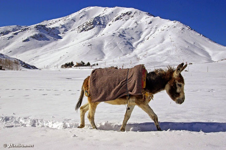 Oukaimden: une station de ski au Maroc qui marque l'esprit des visiteurs.