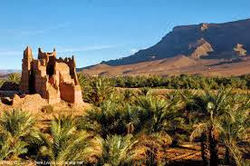 Partez à la découverte de Zagora