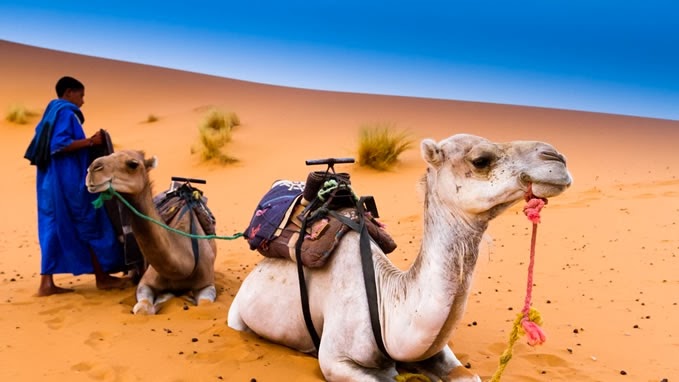 Passer une nuit aux dunes Zagora offre une vraie sensation de nature