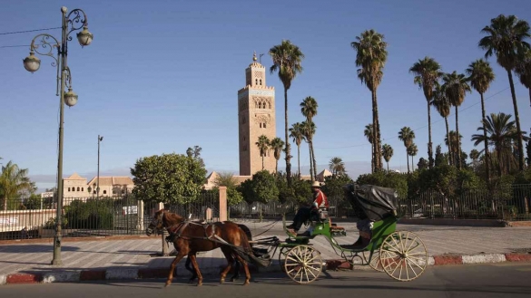 Pour un voyage réussi à Marrakech, contactez: excursionsmarrakech.net
