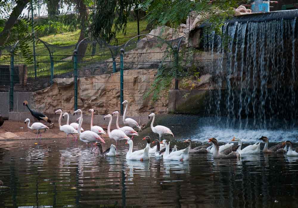 Que Visiter à Agadir ?