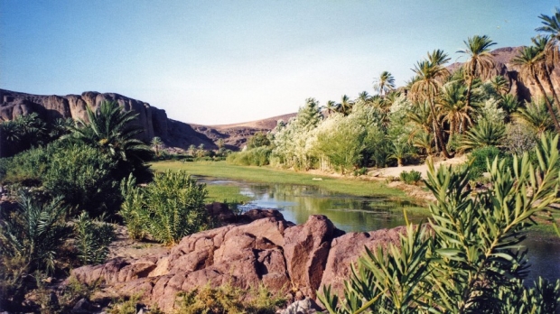 Un circuit Ouarzazate remarquable depuis Marrakech