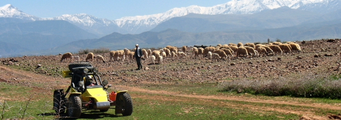 Un petit circuit en buggy à Marrakech