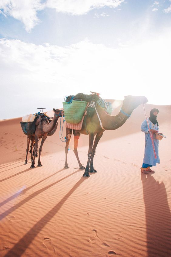 Un voyage au sud du Maroc inoubliable
