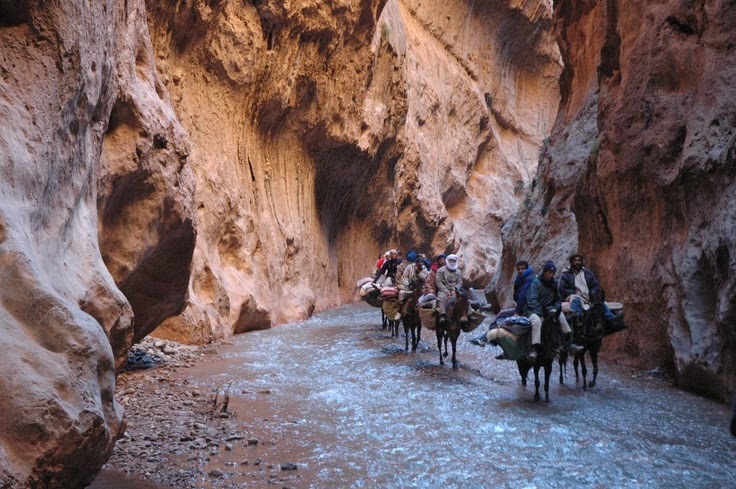 Un Voyage berbère hors du temps