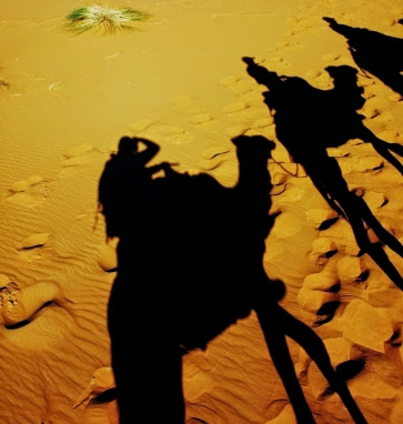 Un voyage inoubliable à Zagora