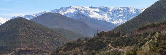 Une abondance de packages attrayants!