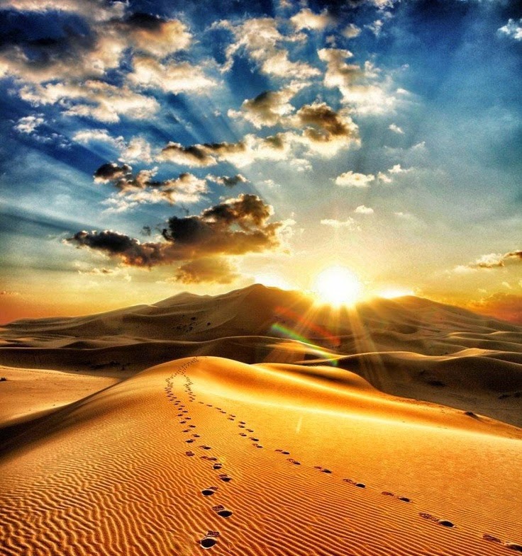 Une excursions à ne pas rater