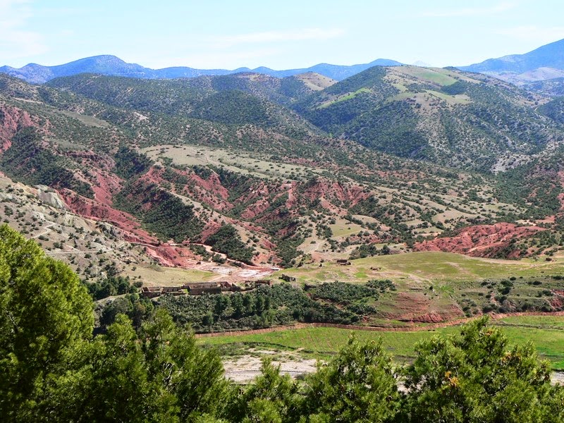 Une journée stupéfiante au plateau du kik!