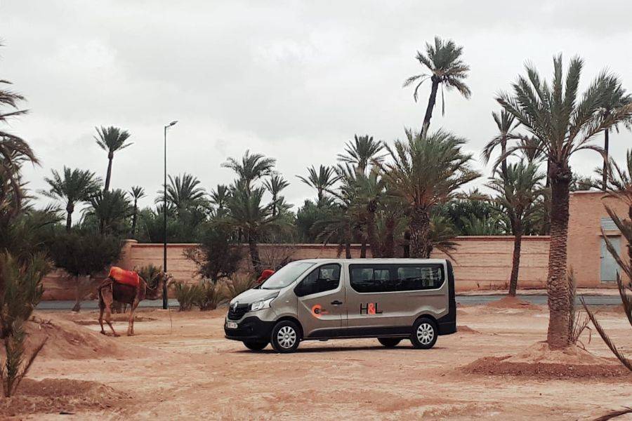 Balade en buggy à Marrakech Palmeraie