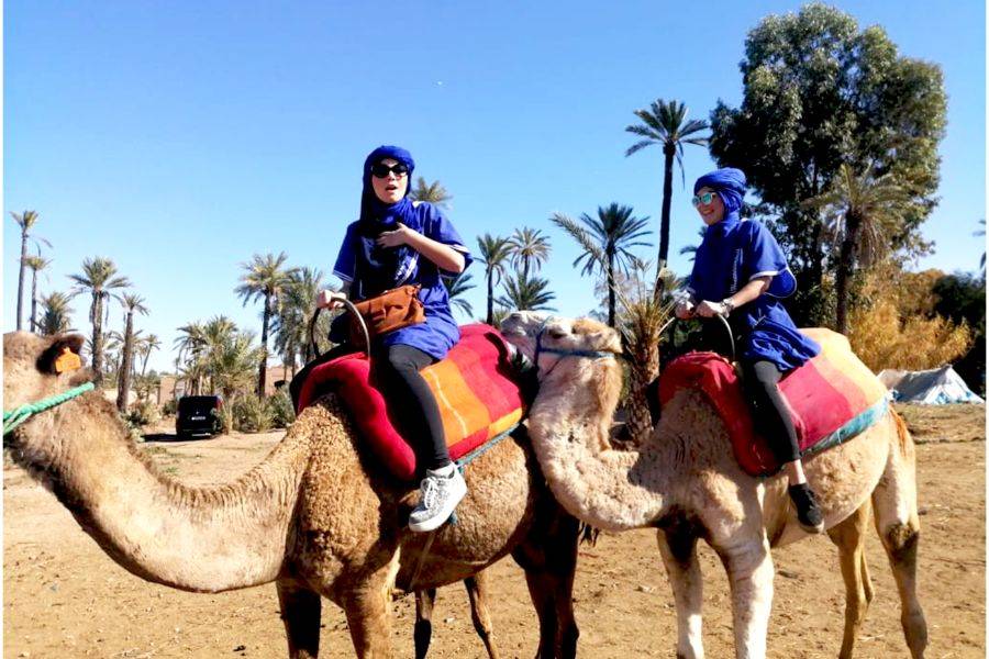 Expérience en Buggy, Balade Chameau et Spa à Marrakech