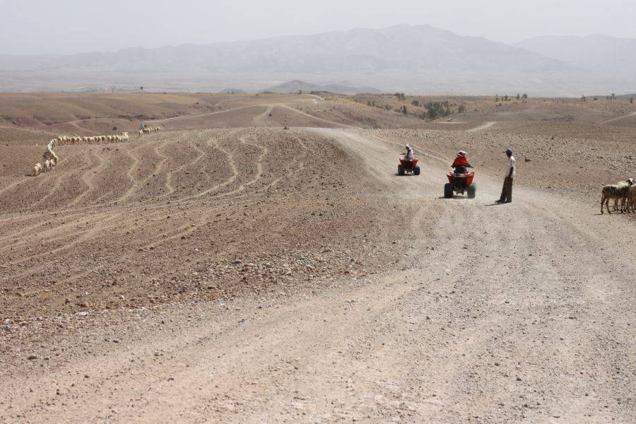 Balade de Quad dans le désert d'Agafay 