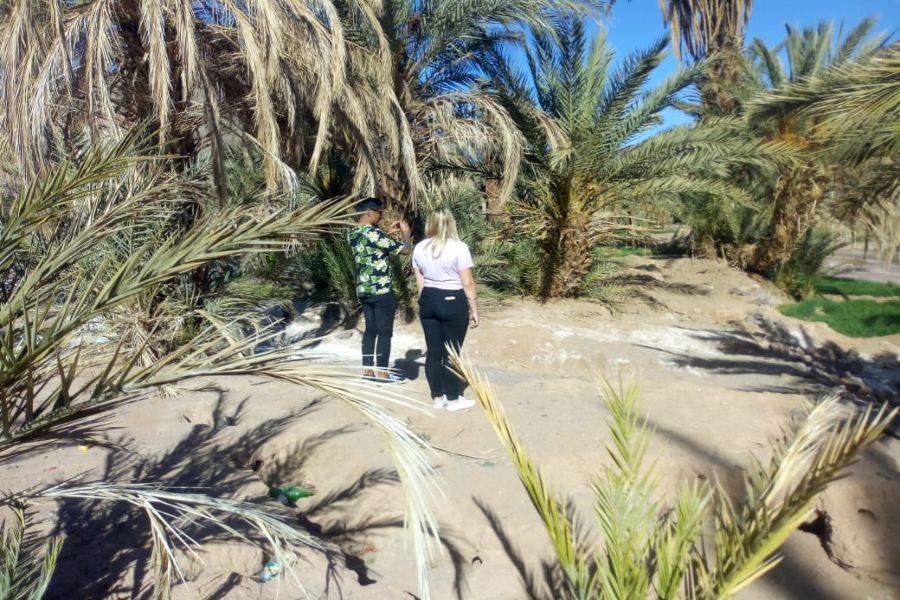 Ouarzazate, Kasbah Ait ben haddou et Oasis Fint 2 jours