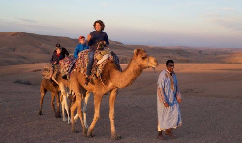 Expérience de Coucher de soleil à dos de Chameau dans le Desert d'Agafay