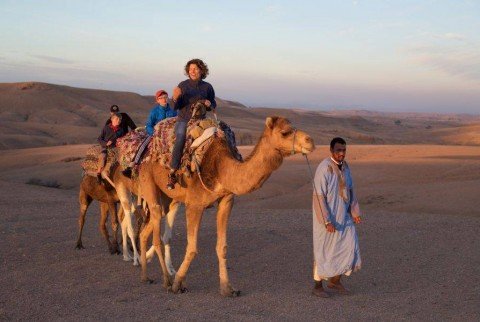 Expérience de Coucher de soleil à dos de Chameau dans le Desert d'Agafay