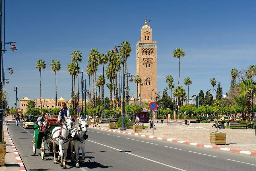 Visite des monuments historiques de Marrakech