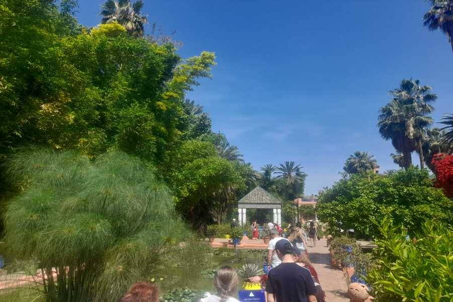 Excursion en calèche et visite du jardin Majorelle
