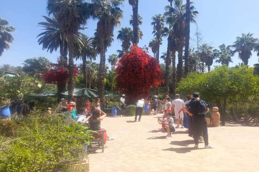 Excursion en calèche et visite du jardin Majorelle