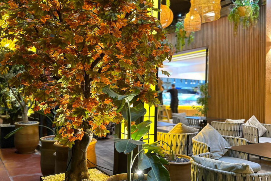 Expérience spa romantique avec dîner au restaurant Chouf L'Or