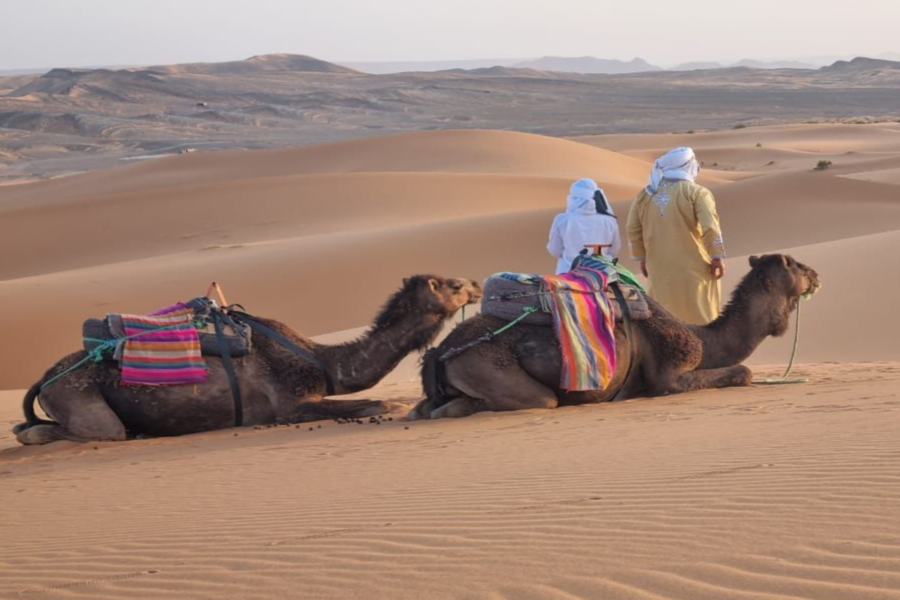 Merzouga 3 jours dans le désert de Marrakech à Fès
