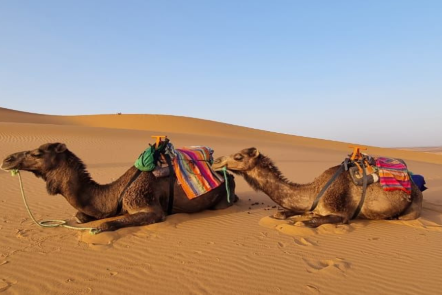 Expérience de 3 jours dans le désert de Fès à Marrakech